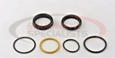 KIT-SEAL, FOR HYD09733, SL ANG CYL, 06+